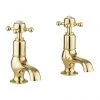 Crosswater Belgravia Unlacquered Brass Crosshead Cloakroom Basin Taps - BL150DNQ