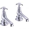 Burlington Anglesey Regent - Chrome Bath Taps - ANR3